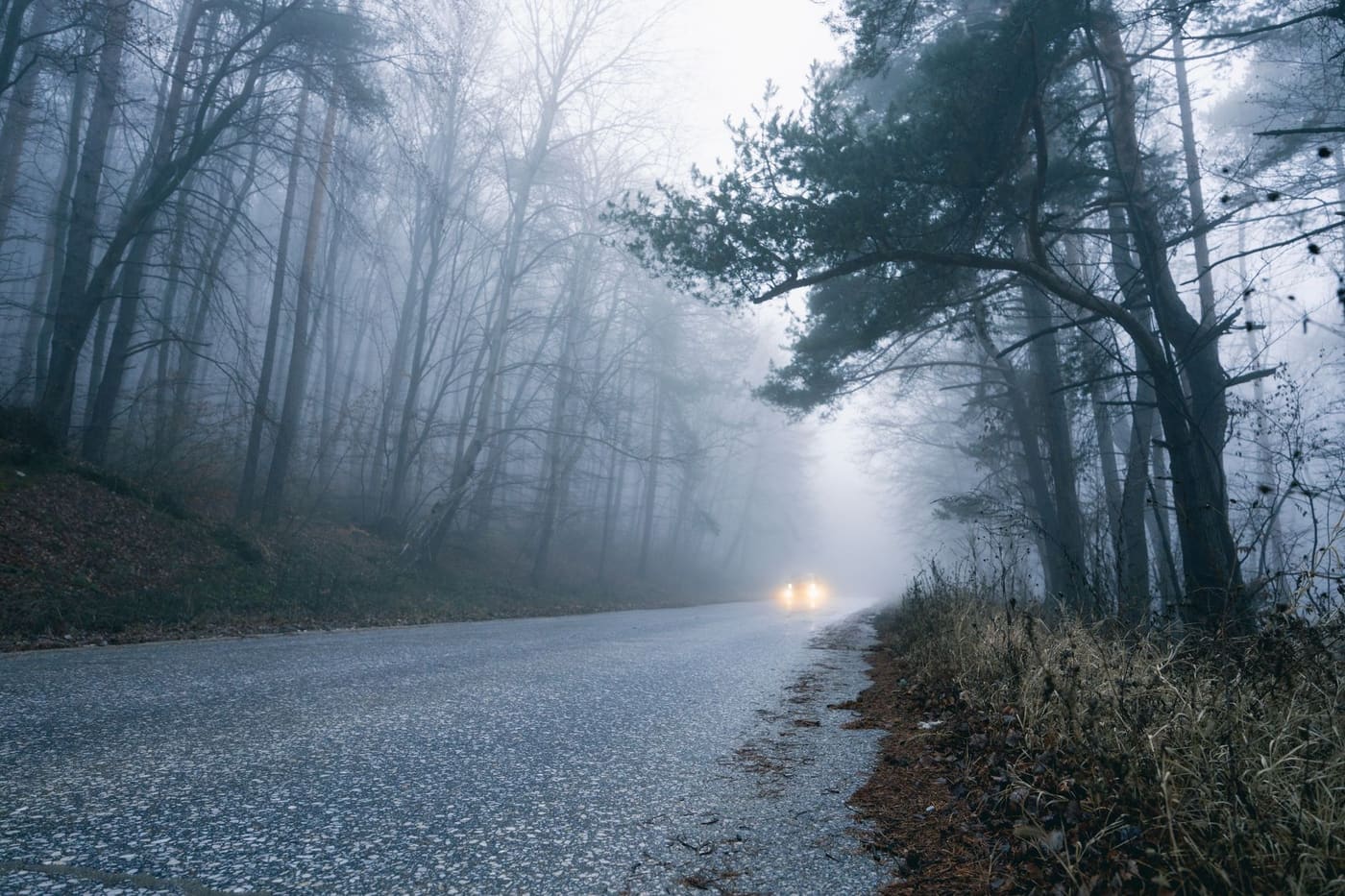 Car headlights shining through fog on a tree-lined autumn road